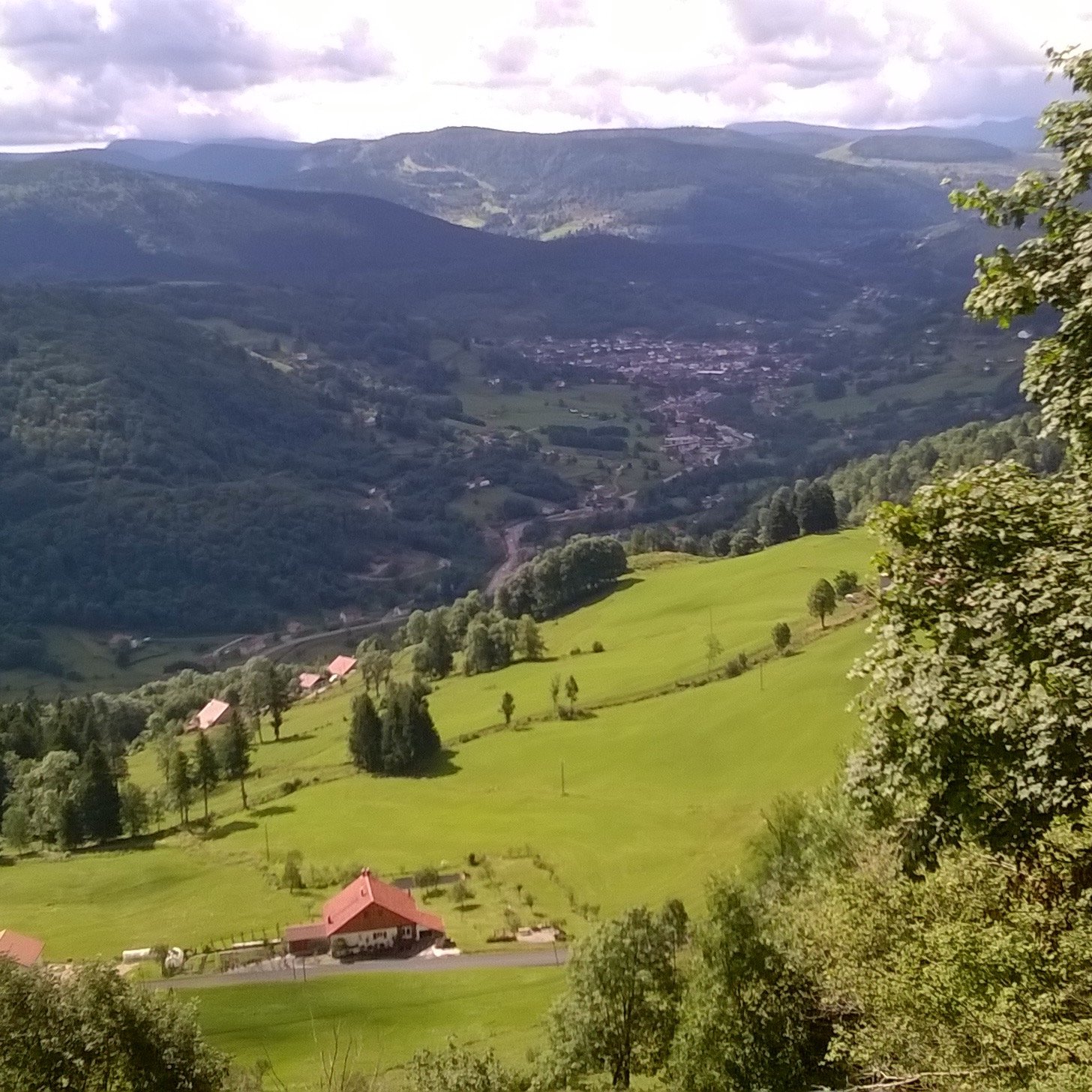 Alpages et pâturages au-dessus de La Bresse