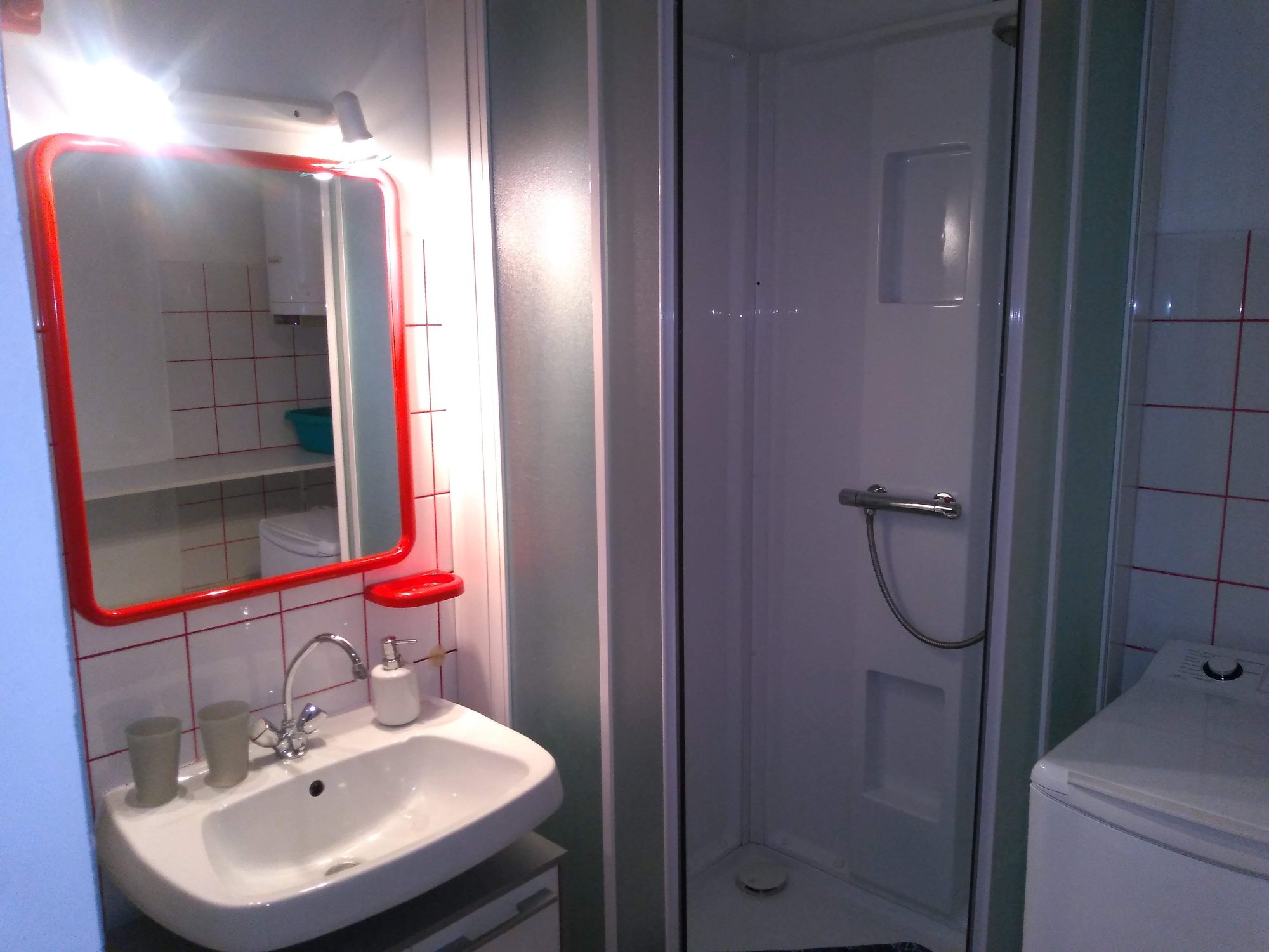 La salle de bain avec douche et lavabo