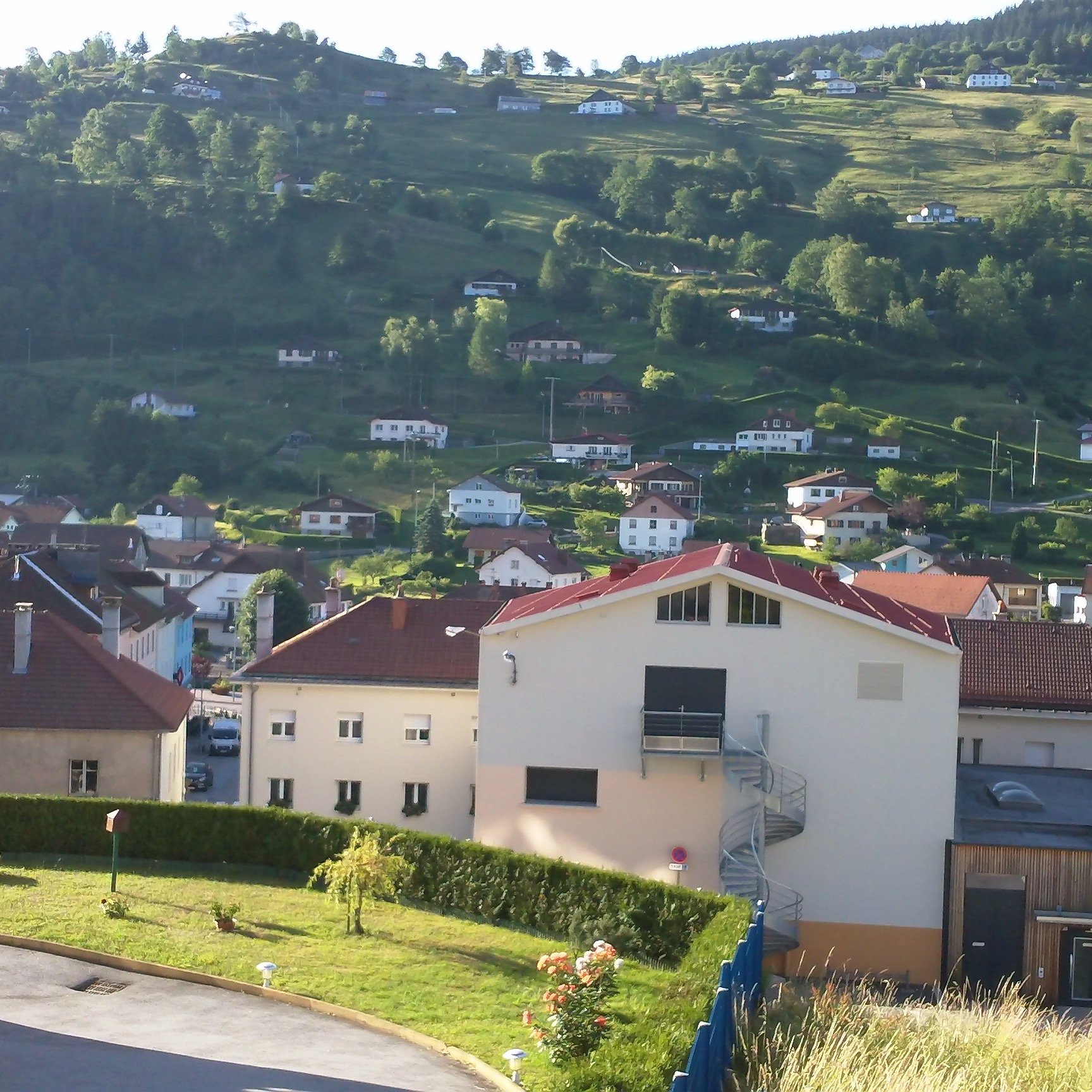 Vue estivale sur la montagne depuis l'appartement
